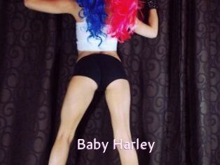 Baby_Harley