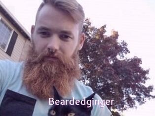 Beardedginger