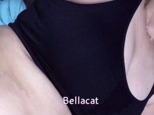 Bella_cat