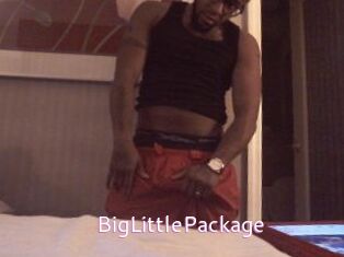 BigLittlePackage
