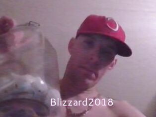 Blizzard2018