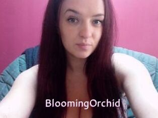 BloomingOrchid