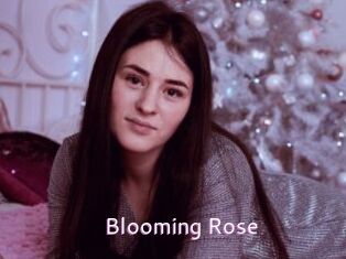 Blooming_Rose