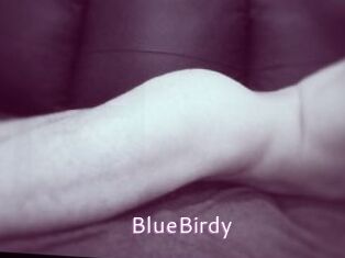BlueBirdy