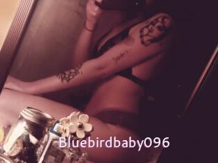 Bluebirdbaby096