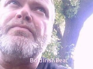 BoldIrishBear