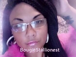 BougieStallionest