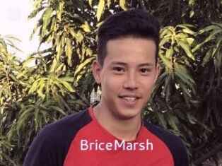 BriceMarsh Just Amateurs