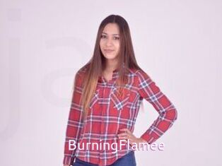 BurningFlamee