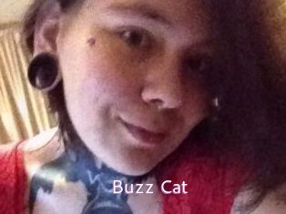 Buzz_Cat
