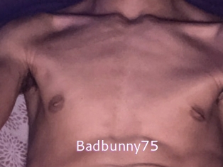 Badbunny75