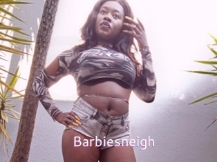 Barbiesneigh