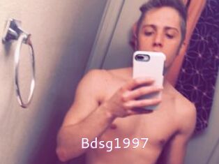 Bdsg1997