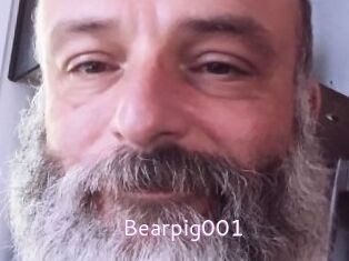 Bearpig001
