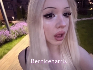 Berniceharris