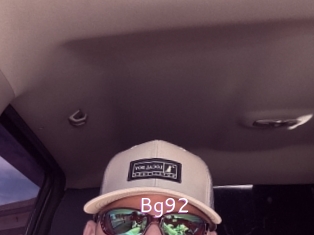 Bg92
