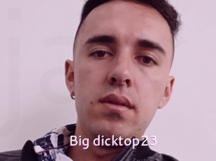 Big_dicktop23