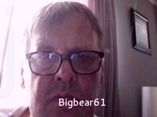 Bigbear61