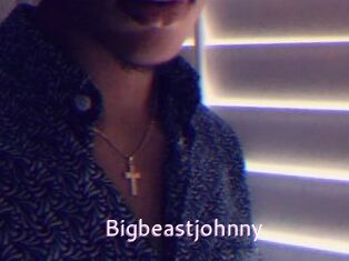 Bigbeastjohnny