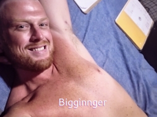 bigginnger Just Amateurs