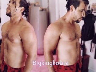 Bigkingkobra