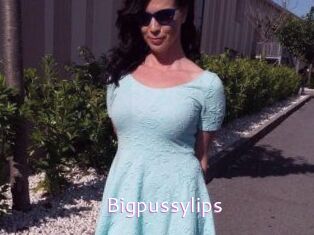 Bigpussylips
