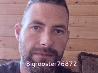 Bigrooster76872