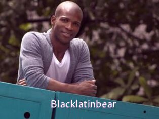 Blacklatinbear