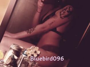 Bluebird096