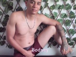 Bodsey