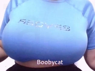 Boobycat