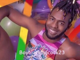 Boyblackbigcock23