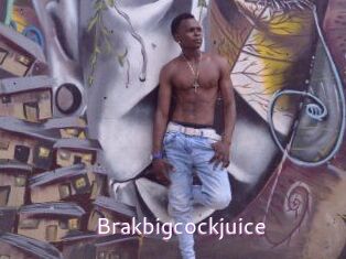 Brakbigcockjuice