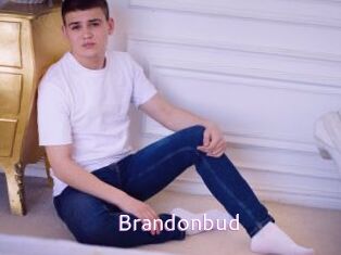 Brandonbud