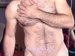 Brbigdick29
