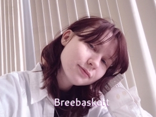 Breebaskett