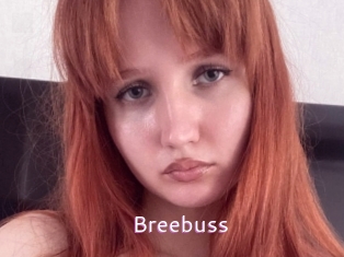 Breebuss