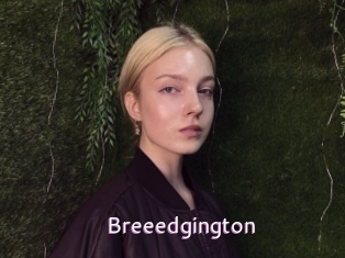 Breeedgington
