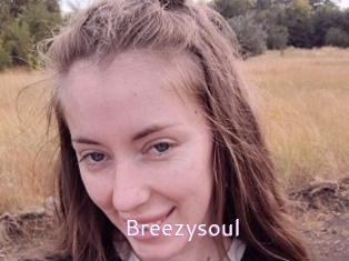 Breezysoul