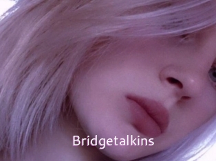 Bridgetalkins