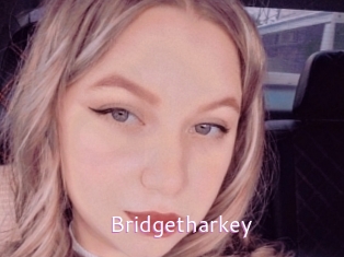 Bridgetharkey