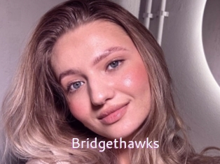 Bridgethawks