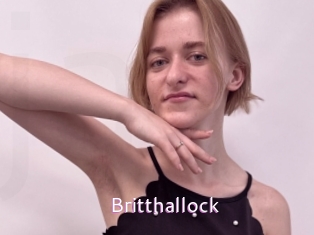Britthallock