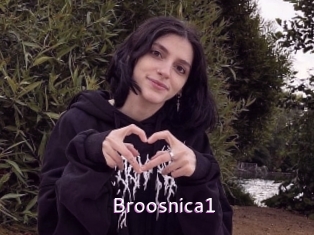 Broosnica1
