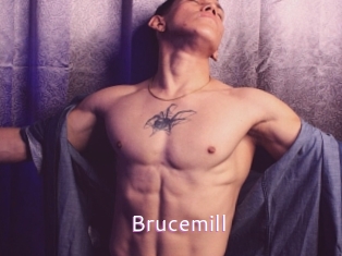 Brucemill