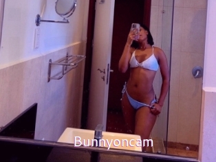 Bunnyoncam