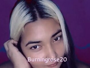 Burningrose20