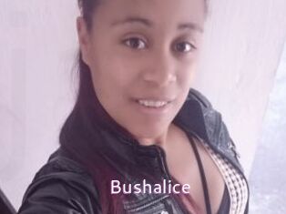 Bushalice