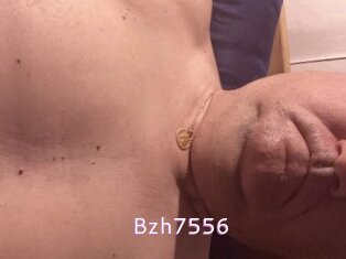 Bzh7556