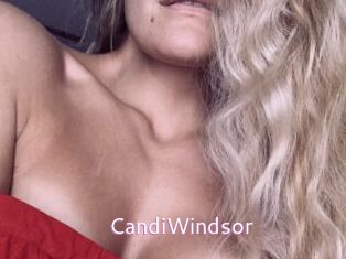 CandiWindsor